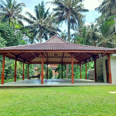 As I Am Ubud Retreat Ngoại thất bức ảnh