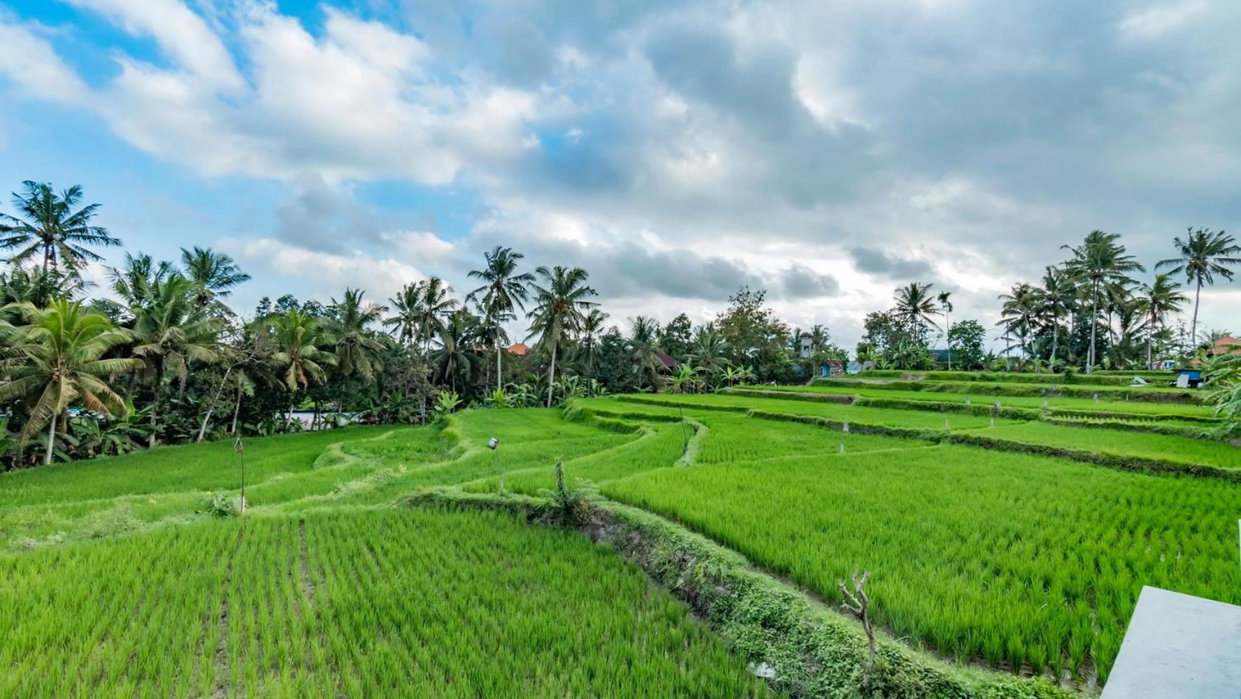 As I Am Ubud Retreat Ngoại thất bức ảnh