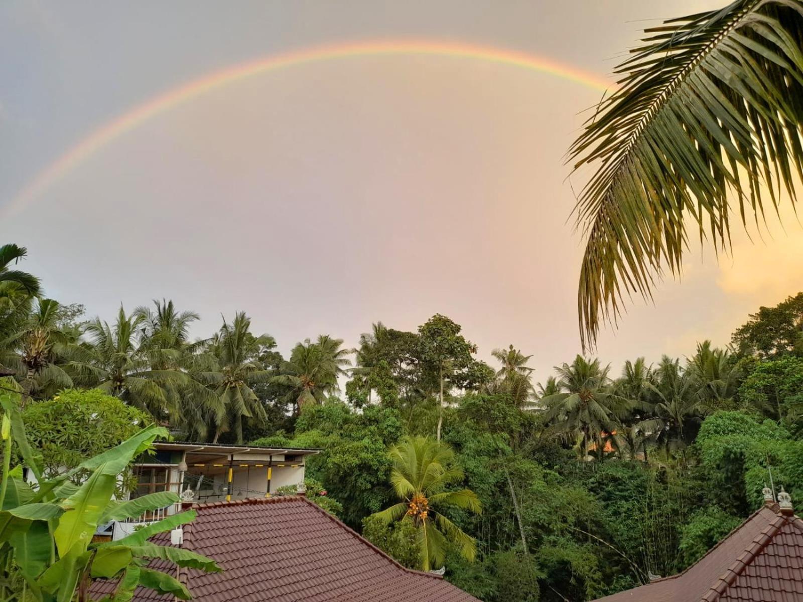 As I Am Ubud Retreat Ngoại thất bức ảnh